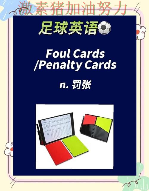 法甲关键判罚引争议引发热议