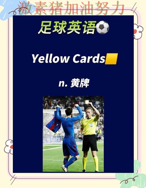 法甲关键判罚引争议引发热议